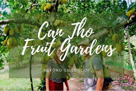 Can Tho Fruit Garden