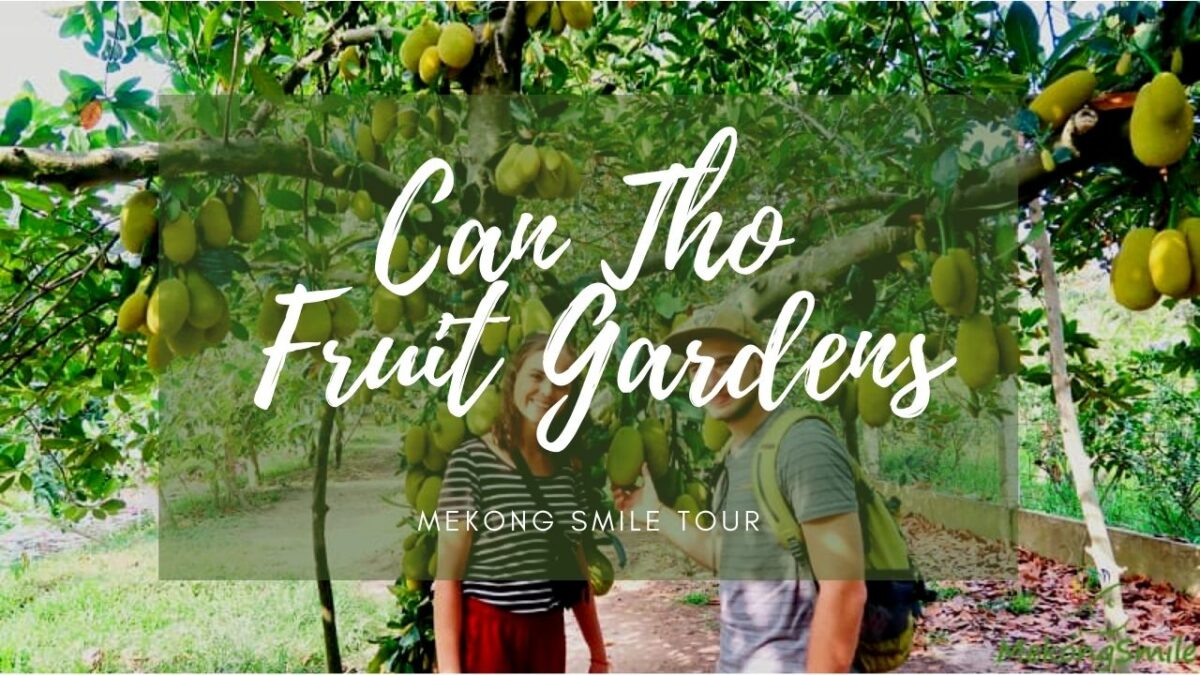 Can Tho Fruit Garden