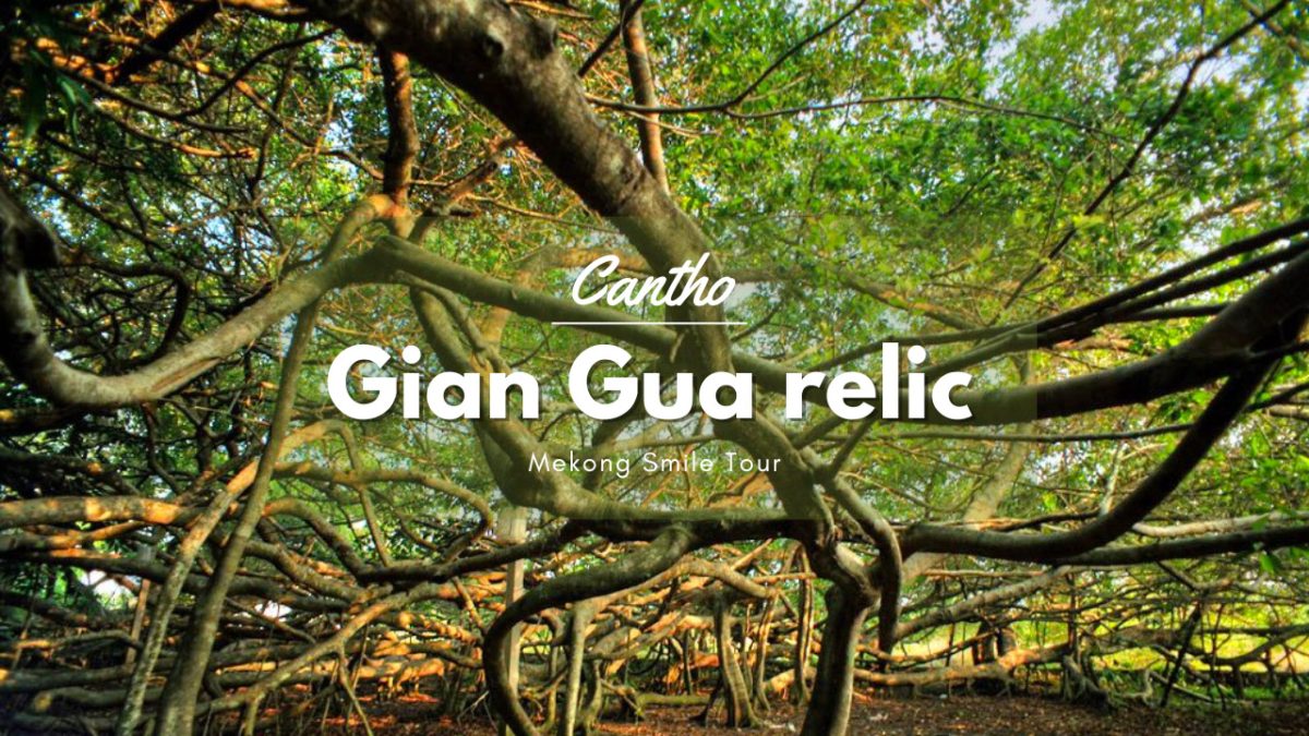 Gian Gua relic