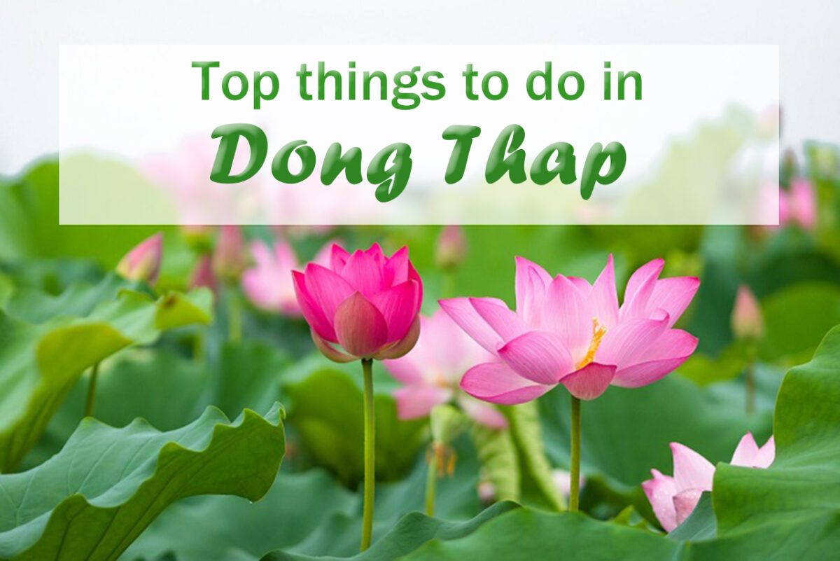 What to do in Dong Thap