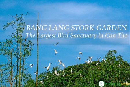 Bang Lang Stork Garden in Can Tho