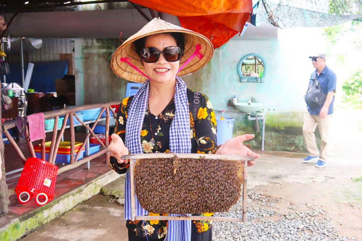 Taking care of bees for honey in Con Phung Island