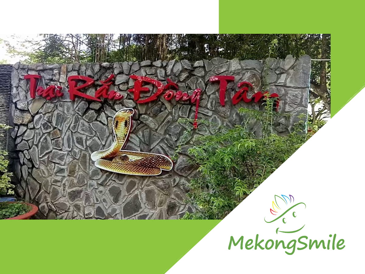 Dong Tam Snake Farm – A new travel experience for tourists (2023