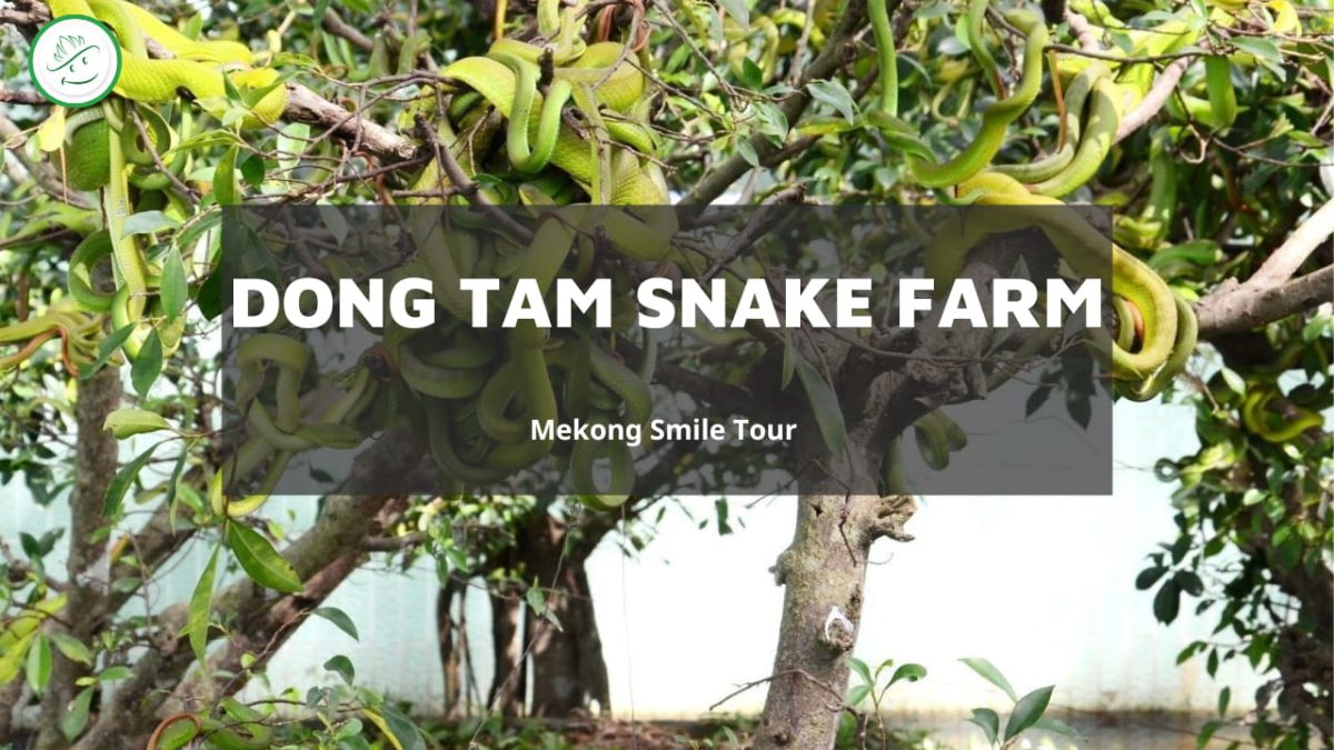 Dong Tam Snake Farm