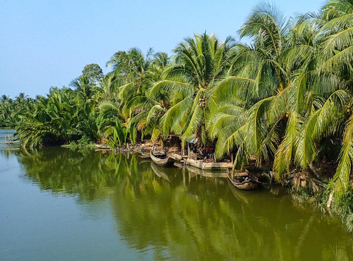 What to do in Ben Tre - Top things to do in Ben Tre
